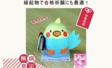 OEM事例集！手作りキットも一緒に♪「和紙ころ...