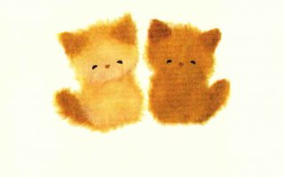 和紙のし袋なごみねここころばかり