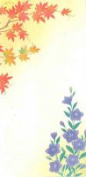 和紙のし袋　花しらべ秋①